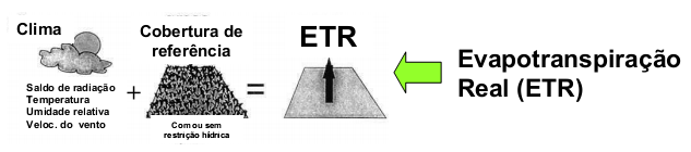 Esquema demonstrando as variáveis e condições para a Evapotranspiração real (ETR)
