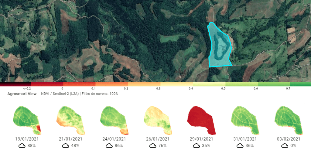 o que é ndvi