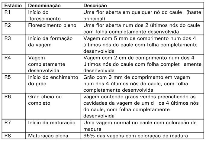 Conhecendo os estágios reprodutivos da soja para saber quando realizar a dessecação em pré-colheita 