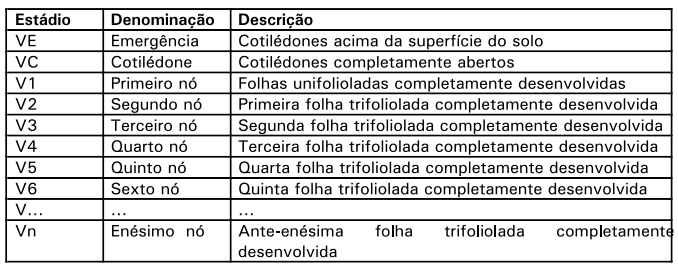 Conhecendo os estágios vegetativos da soja para saber quando realizar a dessecação em pré-colheita 