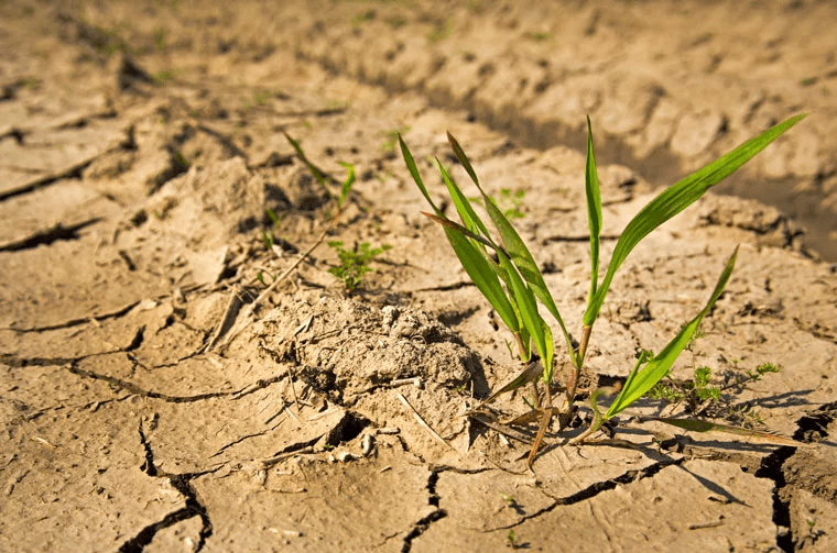 irrigação contra períodos de seca