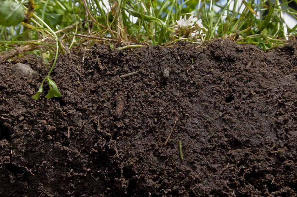 matéria orgânica do solo